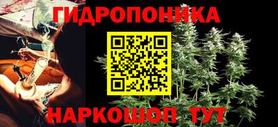 прущие грибы Владимир