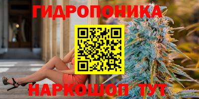 прущие грибы Владимир