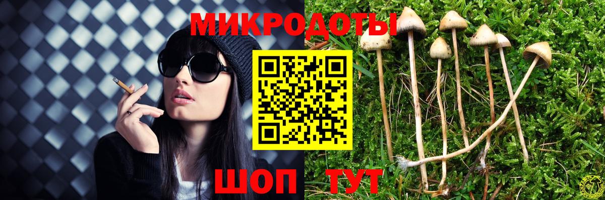 Галлюциногенные грибы мицелий  Галлюциногенные грибы мицелий  купить наркоту  Горно-Алтайск  Вход с VPN 
